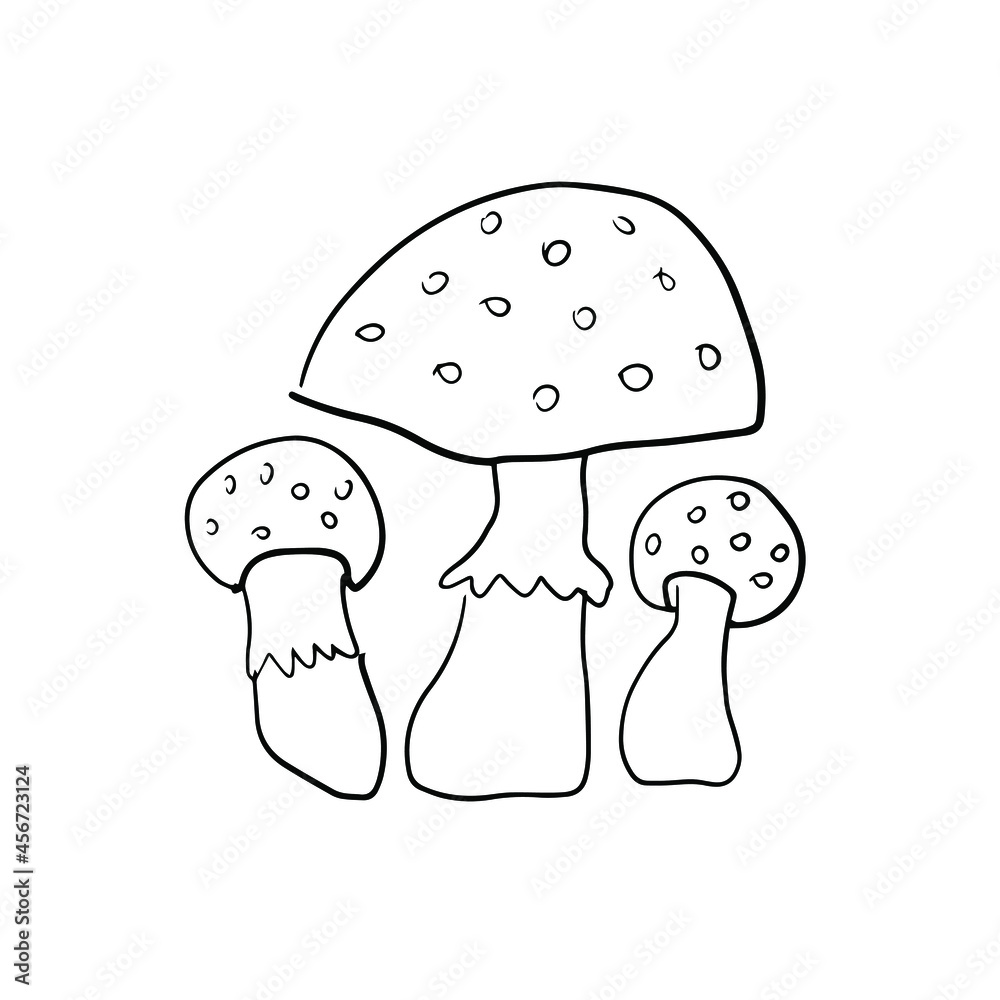 Mushrooms amanita on white background line vector hand drawn. Nature, dangerous, plant, forest, illustration, outline, food, autumn Mushrooms amanita on white background line vector hand drawn. Nature, dangerous, plant, forest, illustration, outline, food, autumn
