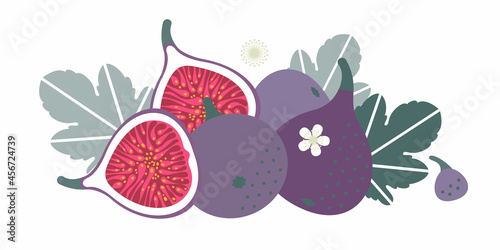 Fig fruit. Flat illustration. Whole and cut fruits, leaves and flowers. Illustration can use for jam, marmalade fruit drink, fruit filler, for label, packaging design, adv products and posters.