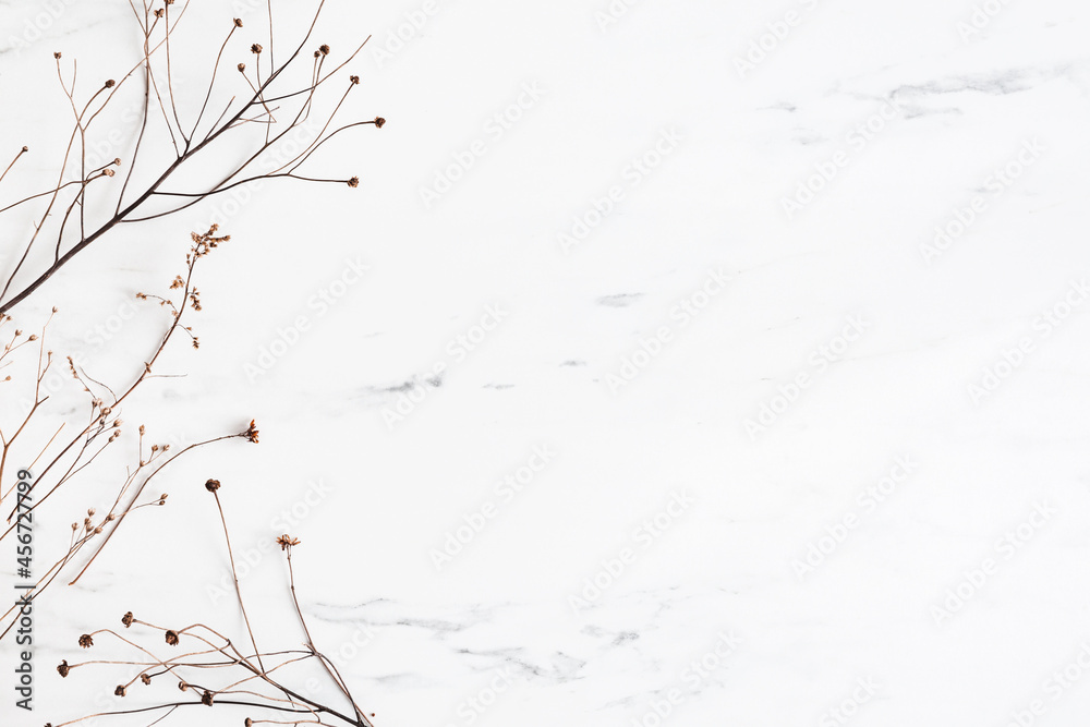 Autumn composition. Dried leaves, flowers on marble background. Autumn, fall concept. Flat lay, top view