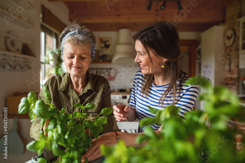 Happy senior mother with adult daughter indoors at home  planting herbs.