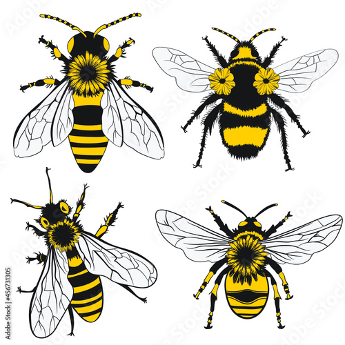 bees and bumblebees © Tamryn-leigh Van Log