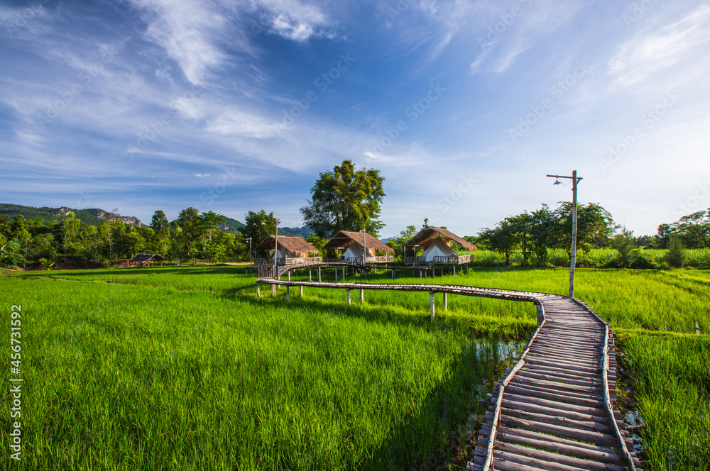 The village of farmers in Khon Kaen province,Thailand.