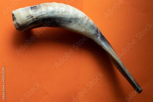 shofar made of lamb horns, on an orange background, - a Jewish object for Rosh Hashanah