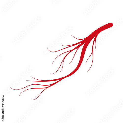 Vein of human vector cartoon icon. Vector illustration artery of blood on white background. Isolated cartoon illustration icon of vein of human .