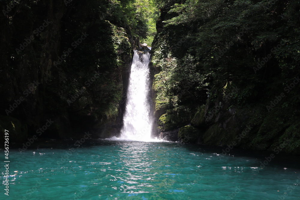 Fototapeta premium にこ淵