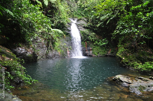 Water fall in the Cockscomb Basin Wildlife Sanctuary in Belize photo