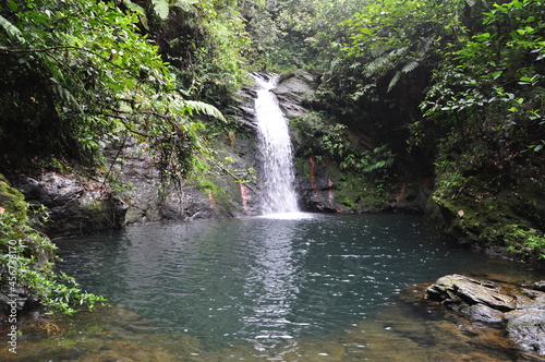Water fall in the Cockscomb Basin Wildlife Sanctuary in Belize