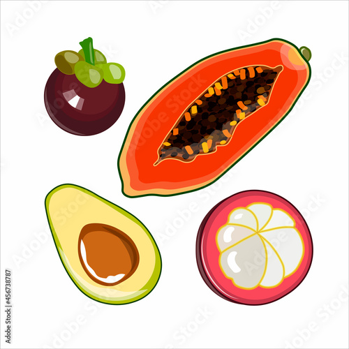 Set with fruits papaya, avocado and mangosteen. Vector illustration.