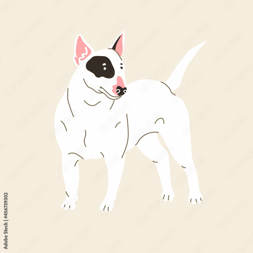 Bullterrier dog. Vector illustration. Flat style
