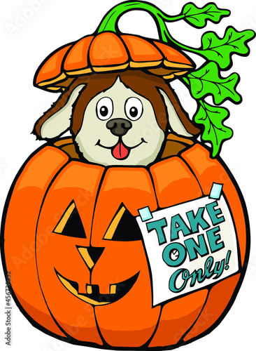 puppy in a jack o lantern | Halloween design