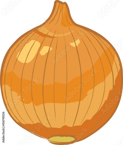 新鮮な野菜の手描き風イラスト
