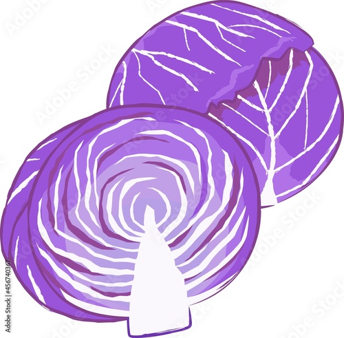 新鮮な野菜の手描き風イラスト