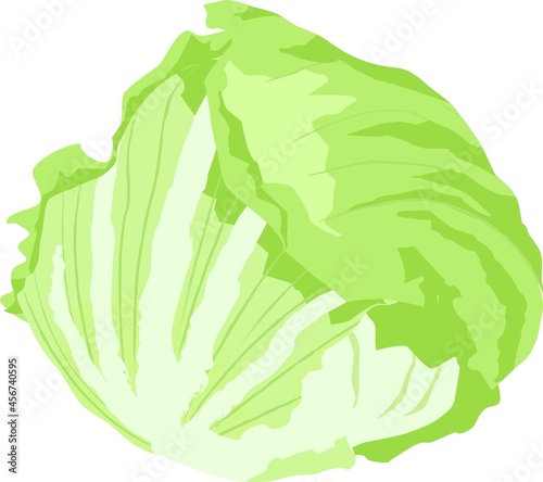 新鮮な野菜の手描き風イラスト