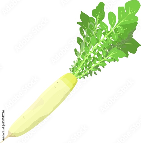 新鮮な野菜の手描き風イラスト