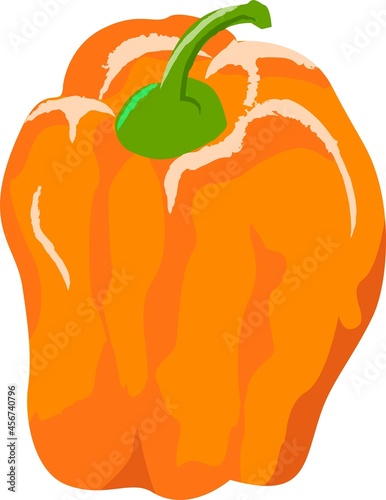 新鮮な野菜の手描き風イラスト