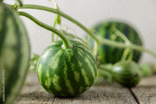 Waterelon, honey watermelon on wooden table background. photo