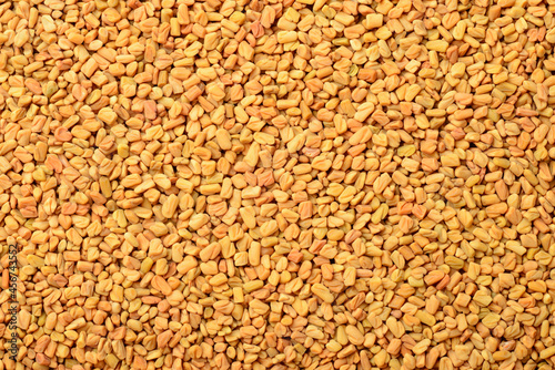 food background of raw fenugreek seeds, top view