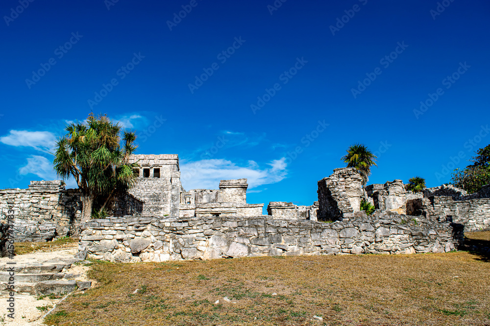 ruins of the castle ruins of the castle