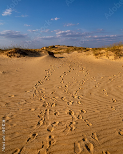 Beautiful desert landscape with dunes. Walk on a sunny day on the Oleshkiv sands.