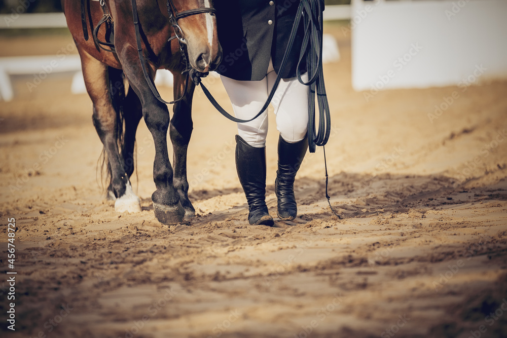 Fototapeta premium Feet sports horse and rider after the competition.