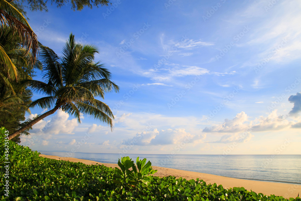 Beautiful tropical beach with the sand./ Palms and tropical beach./ Paradise sunny beach with palm trees./Summer vacation and tropical beach.The beach and blue sky./