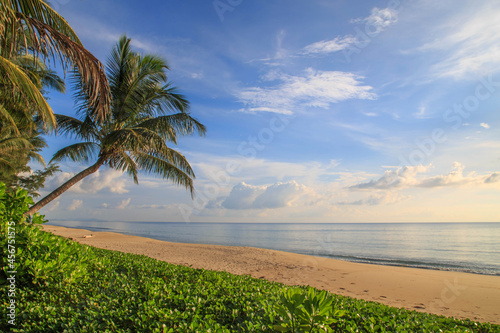 Beautiful tropical beach with the sand./ Palms and tropical beach./ Paradise sunny beach with palm trees./Summer vacation and tropical beach.The beach and blue sky./ © JEERANAN