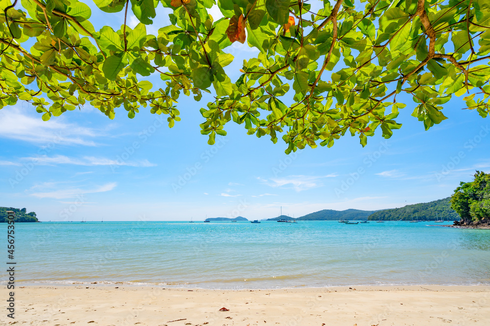Leaves trees frame with Summer beach Amazing sea clear blue sky and white clouds Wave crashing on sandy shore tree leaves frame over sea Copy space Leaves trees frame with Summer beach Amazing sea clear blue sky and white clouds Wave crashing on sandy shore tree leaves frame over sea Copy space