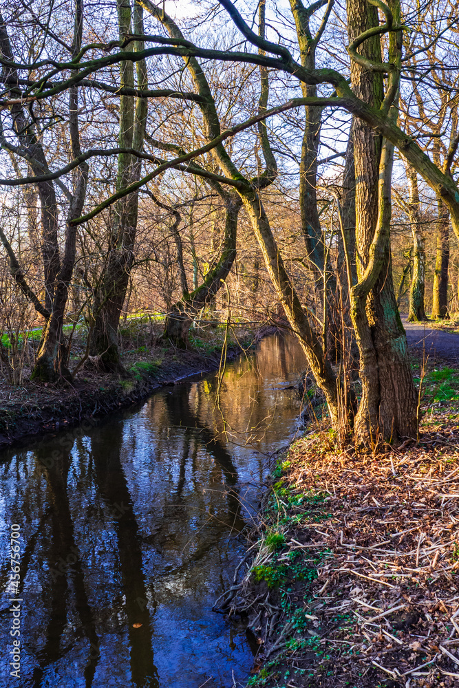 Bach im Wald