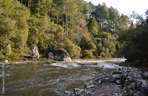 River stream with water flowing through the rocks among the trees and biodiversity. Rio Grande do Sul state, southern Brazil. photo