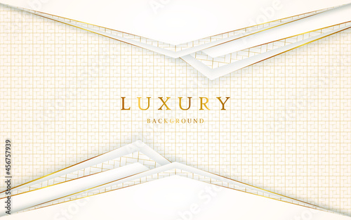 Abstract elegant golden lines on a cream colored background. vector illustration about elegant modern template design

