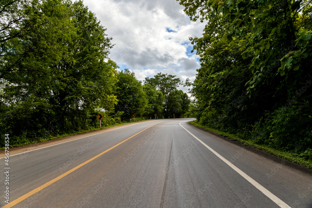 forest nature roadway background forest nature roadway background