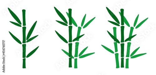 Fototapeta Naklejka Na Ścianę i Meble -  Set of hand drawn bamboo branches with leaves