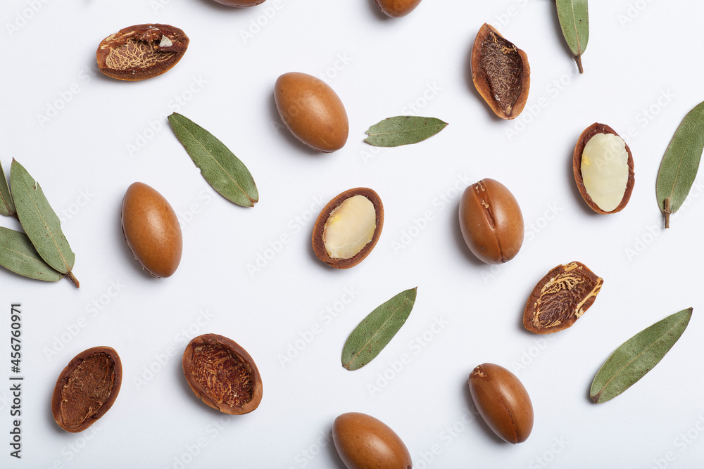 Argan seeds isolated on a white background. Argan oil nuts with plant. Cosmetics and natural oils background Argan seeds isolated on a white background. Argan oil nuts with plant. Cosmetics and natural oils background