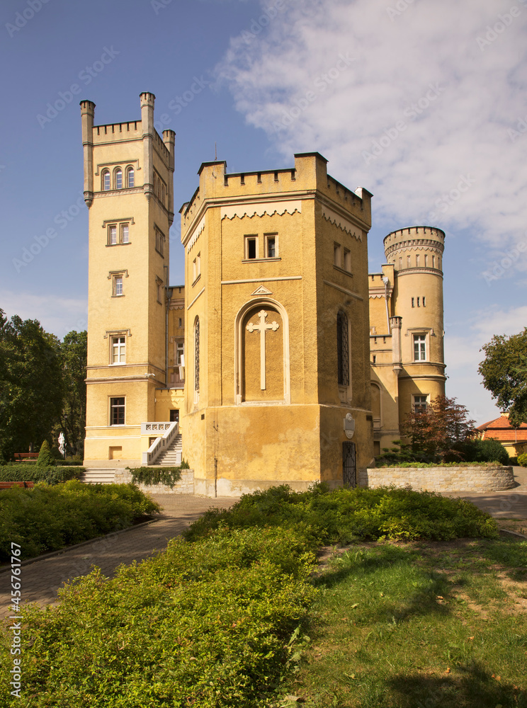 Castle of Narzymski family near Jablonowo Pomorskie.  Poland