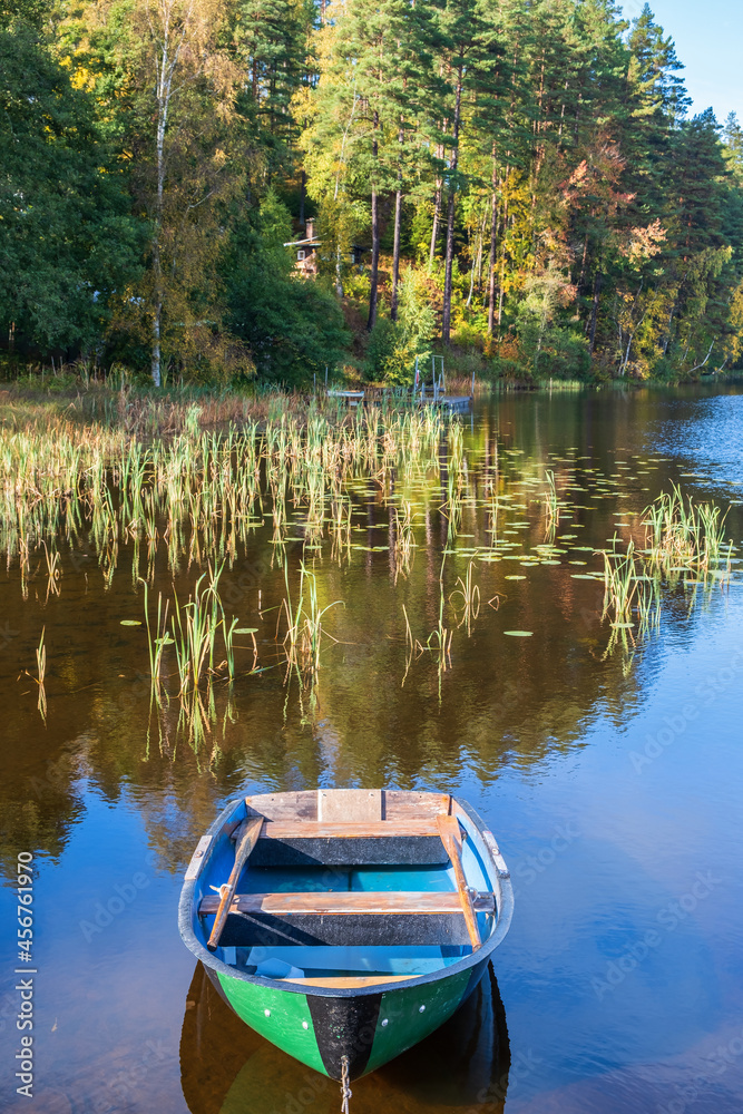 Rowing boat in a forest lake