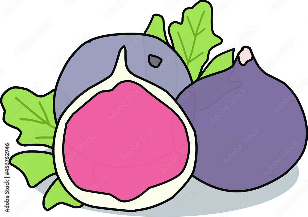 Obraz premium tin fruit illustration with leaf