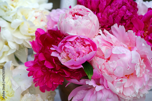Bouquet of fragrant white and pink herbaceous peony flowers in a vase photo