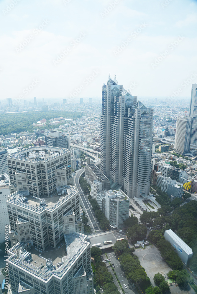 Fototapeta premium city of tokyo