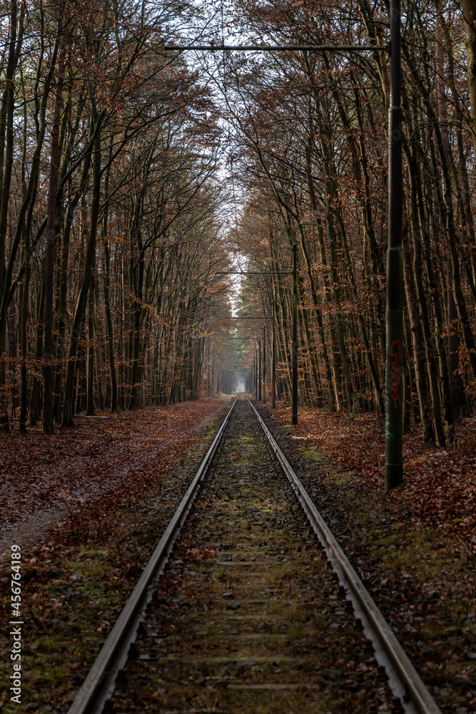 Railroad track in the middle of the forest in autumn Railroad track in the middle of the forest in autumn