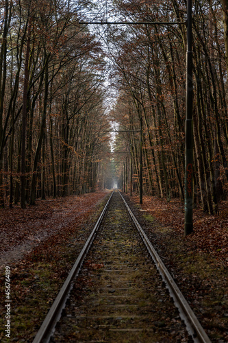 Railroad track in the middle of the forest in autumn