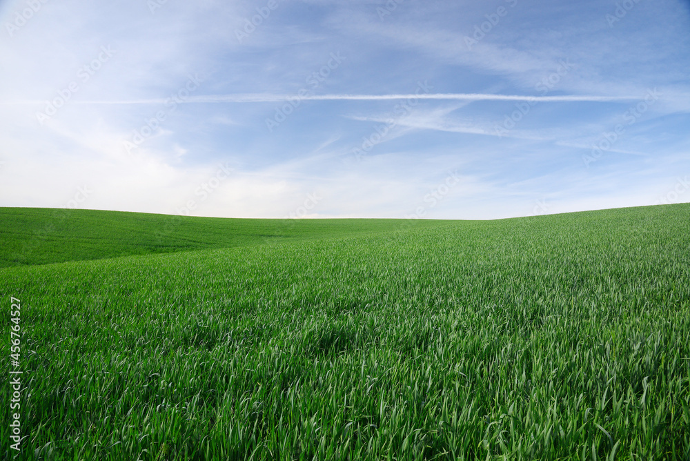 Fototapeta premium farm hill in washington