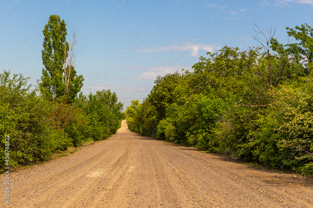A gravel road among forest. Republic of Moldova.