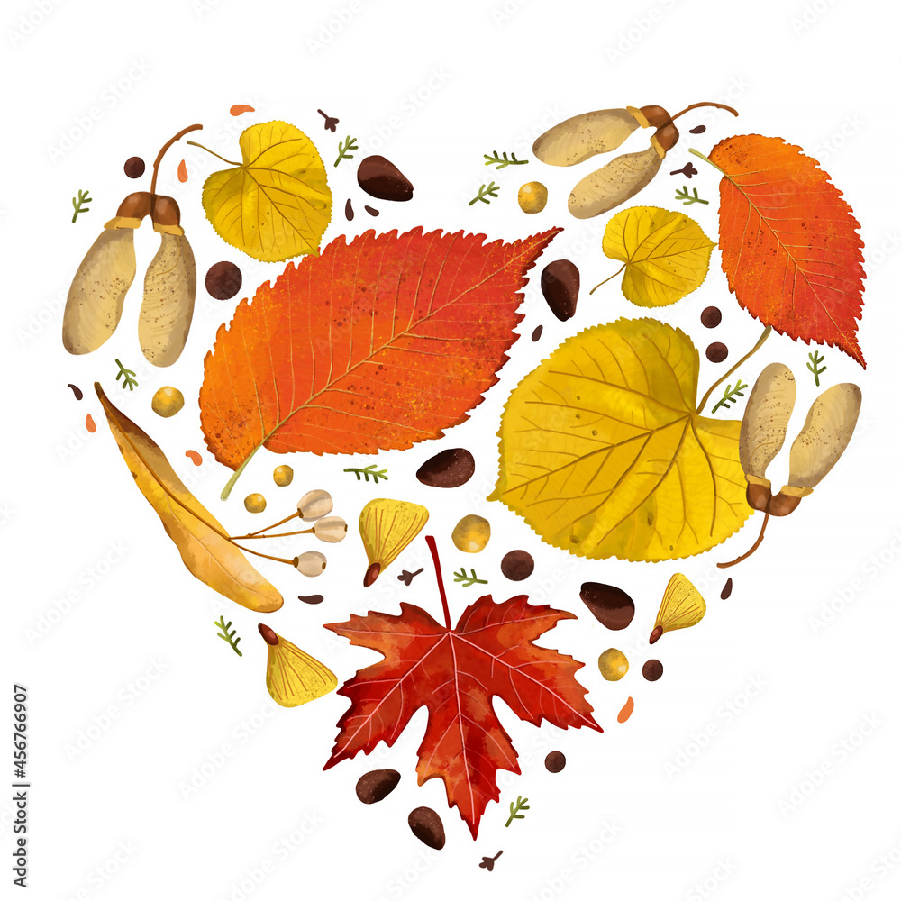 Many different leaves and seeds of forest trees in the shape of a heart on a white background. An element for postcards, stickers, posters. Hand-drawn realistic drawing.