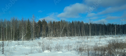 Beautiful winter panorama - landscape with snow and forest. Panoramic view on a sunny day.