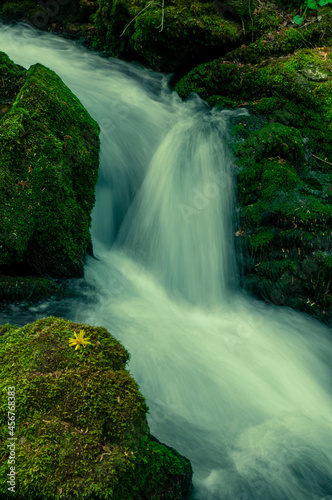 Fototapeta Naklejka Na Ścianę i Meble -  Small waterfalls on the Bigar river, natural reserve in the Anina mountains