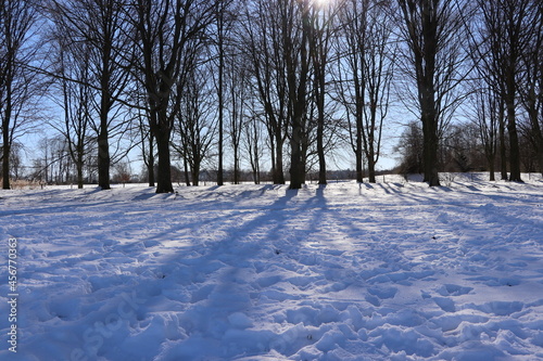 Scuba diving under the ice, preparing, mask, snorkel, diving gear, cold winter. Diving course 