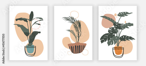Set of botanical floral images. Three hand drawn plants stand in pots. Graphic elements for website. Badges and posters for printing on fabric. Flat vector illustrations isolated on white background