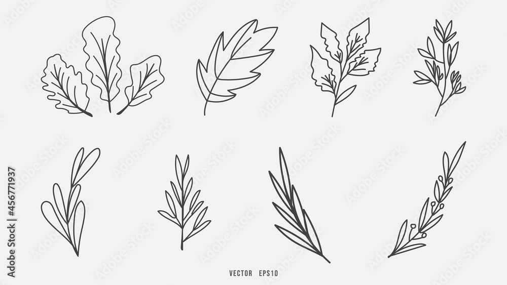 Floral hand drawn botanical elements isolated background , Flat Modern design , illustration Vector EPS 10 Floral hand drawn botanical elements isolated background , Flat Modern design , illustration Vector EPS 10