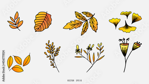 Set of colorful autumn leaves for content online or web, banner and template, Simple cartoon flat style , Flat Modern design , illustration Vector EPS 10
