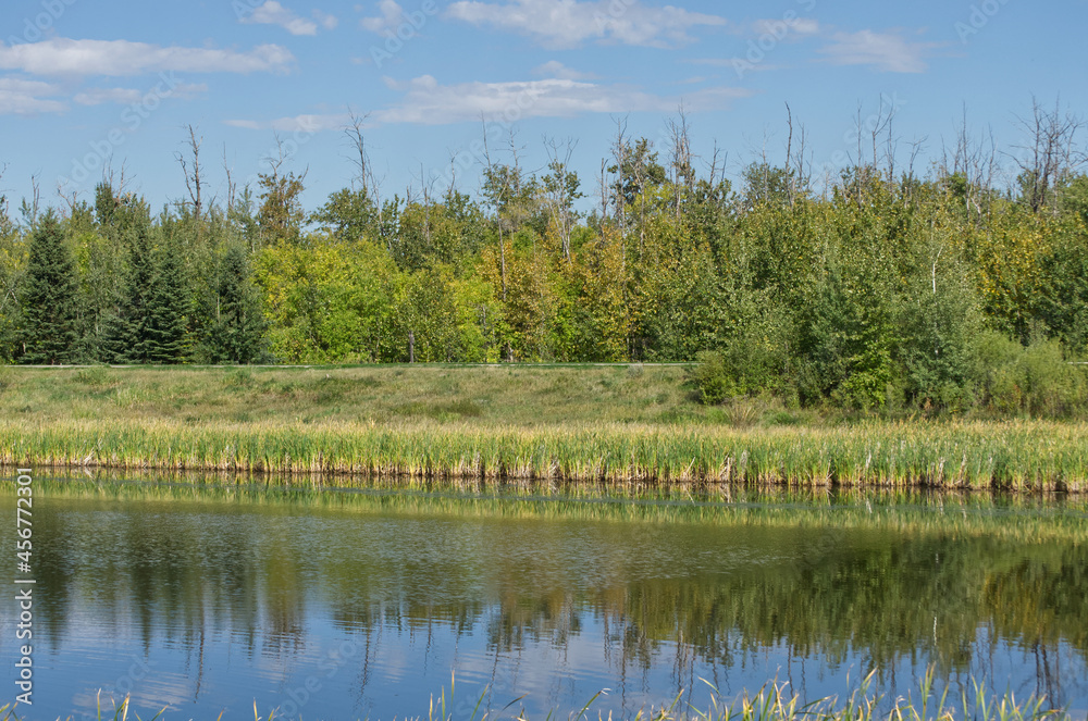 Obraz premium Pylypow Wetlands on a Late Summer Day